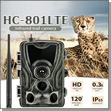 filin hc 801lte 1 Домострой